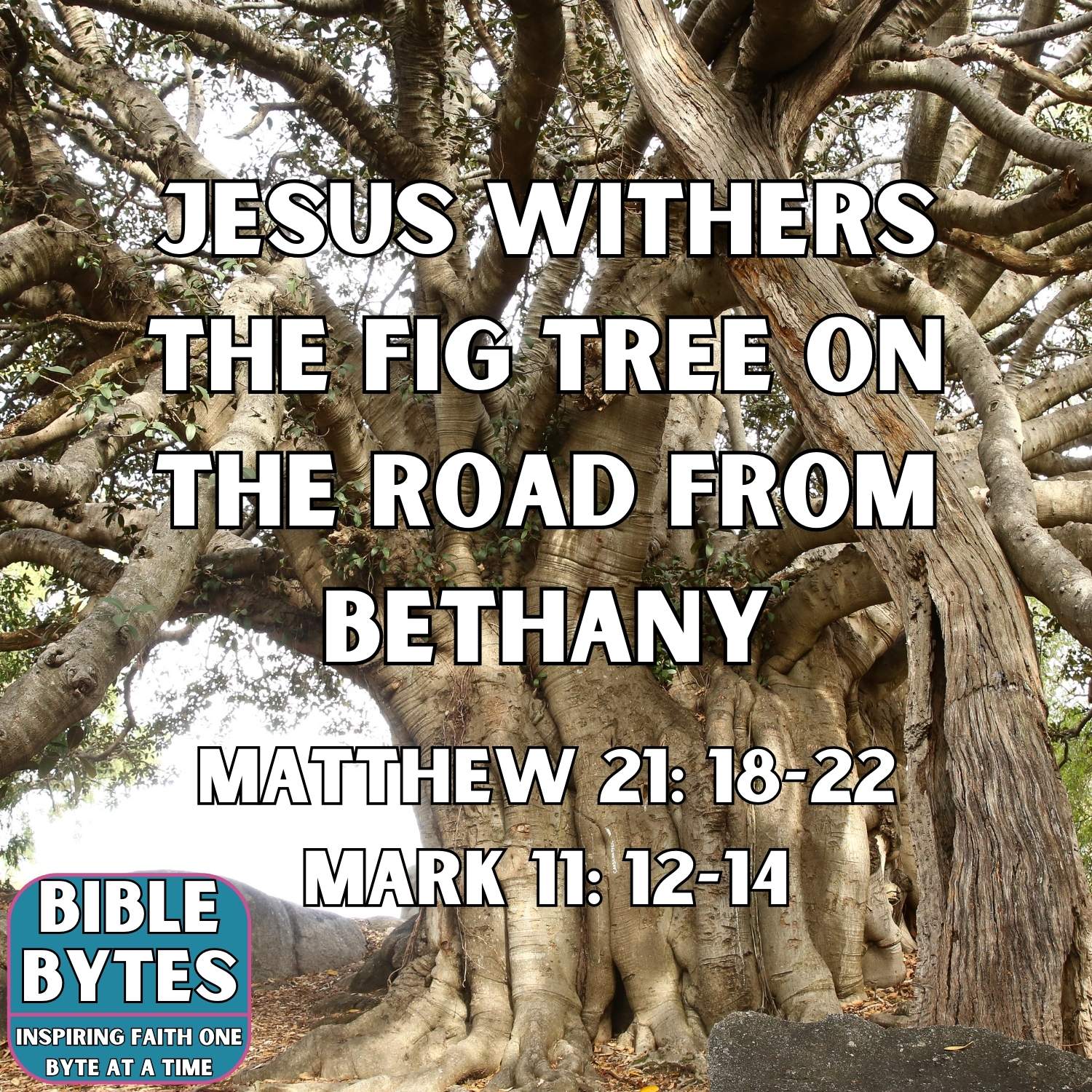 Jesus Withers the Fig Tree on the Road from Bethany